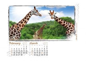 Caught In Action - 2019 - 2